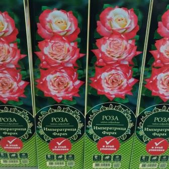 Роза чайно-гибридная "Imperatrice Farah"